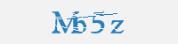 보안문자